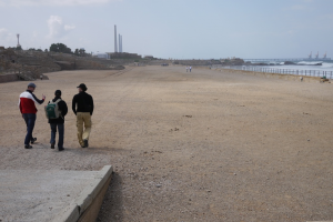 P1000588.png